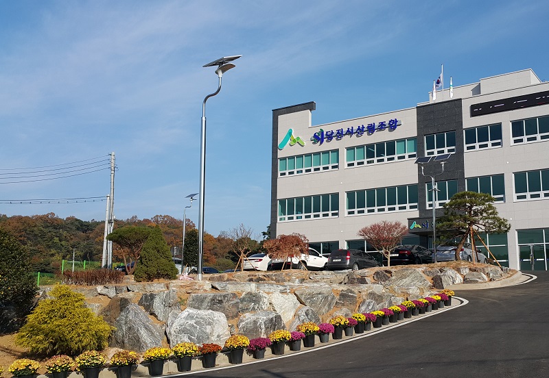 韓國(guó)太陽(yáng)能路燈-飛鶴燈工程