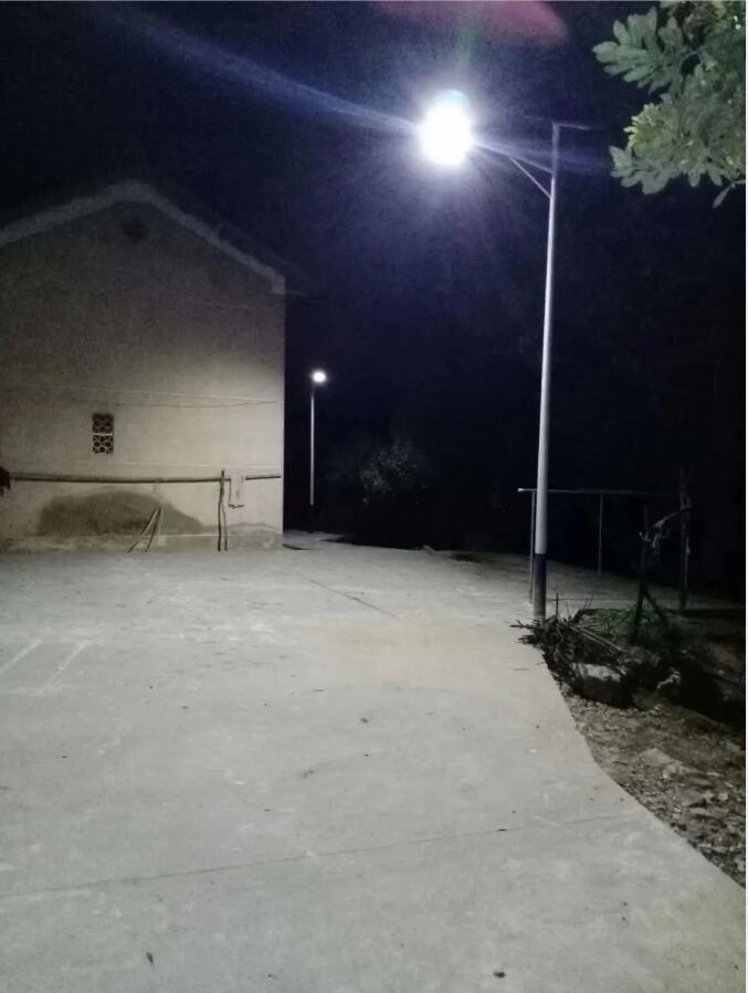 晴空排云雁高飛,源碼項目掀熱潮