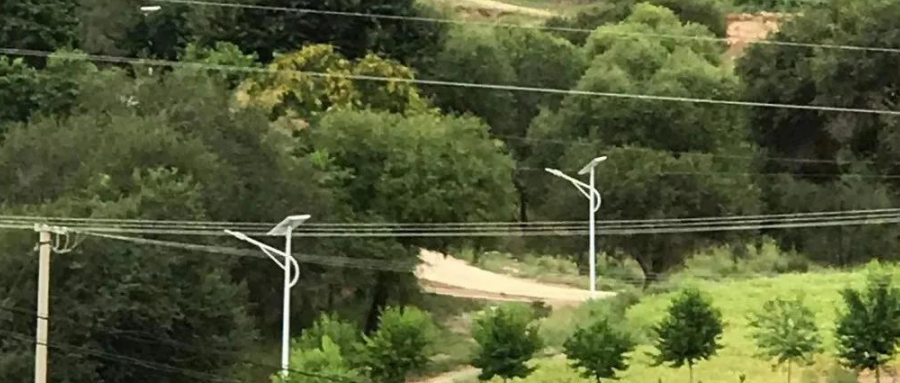 案例賞析〡云雁高飛，助力鄉村振興